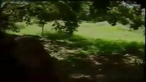 jizzd irrumation And pooperhole
 outdoors